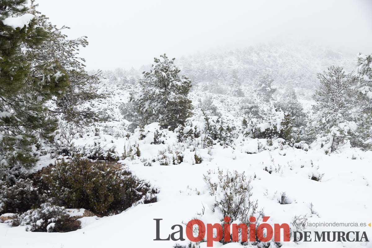 Continúa la nevada en las zonas altas de la comarca del Noroeste