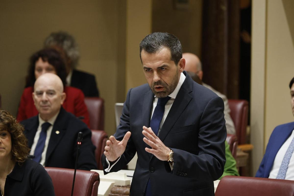 Rubén Martínez Alpañez, este jueves en la Asamblea.