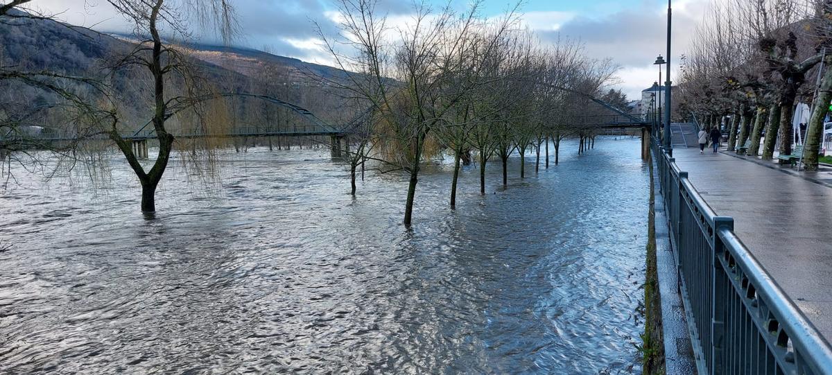 El río Sil, a su paso por O Barco, este viernes.