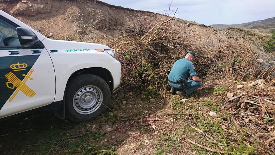 Agentes del Seprona de la Guardia Civil en el lugar en el que encontraron enterrado al animal.