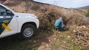 Agentes del Seprona de la Guardia Civil en el lugar en el que encontraron enterrado al animal.