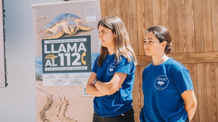 La Fundación Azul Marino reúne expertos y ayuntamientos de Castellón por la protección de las tortugas marinas