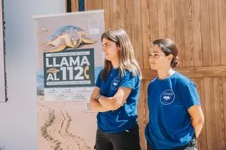 Vídeo: La Fundación Azul Marino reúne expertos y ayuntamientos de Castellón por la protección de las tortugas marinas