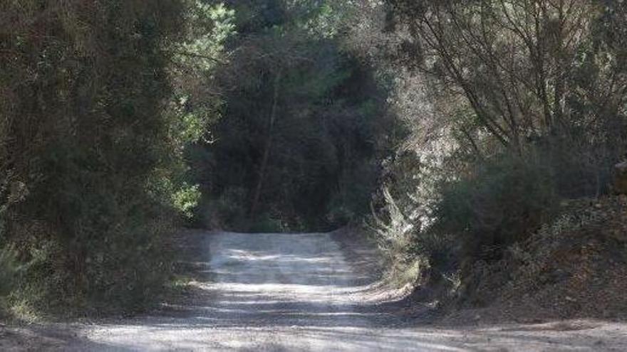 Tramo del camino de Cala Salada a ses Fontanelles, que será acondicionado.