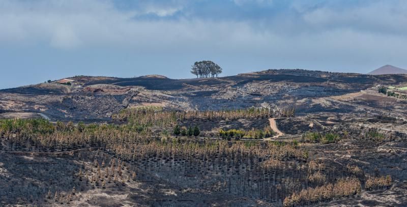 Consecuencias del incendio: De Valleseco a Artenar