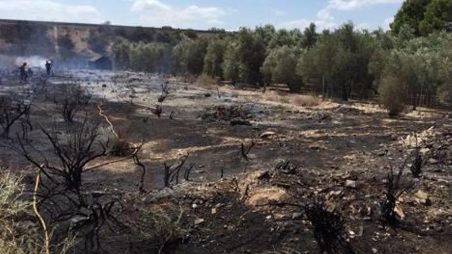 El fuego calcinó 1.500 metros de matorral y caña.