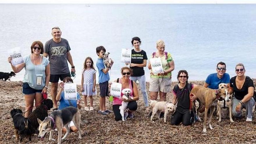 Sollten Hunde mit an den Strand dürfen?