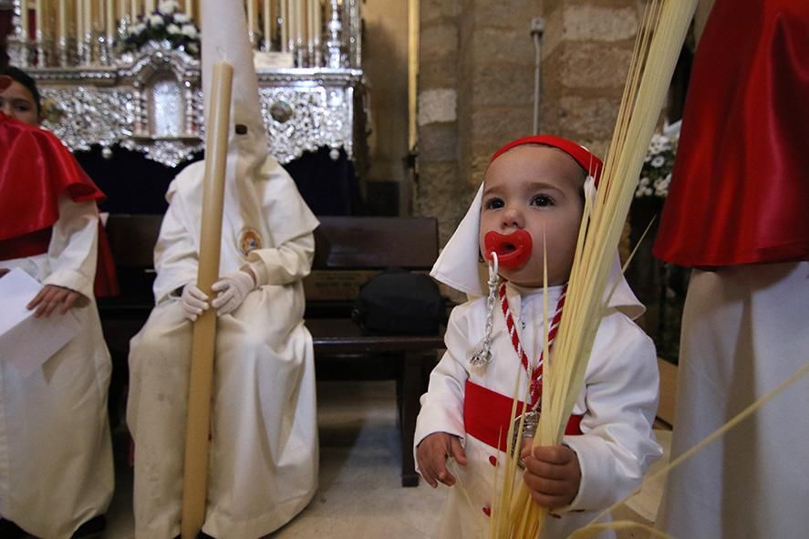 Fotogalería / La borriquita estrena la 'nueva' Semana Santa de Córdoba