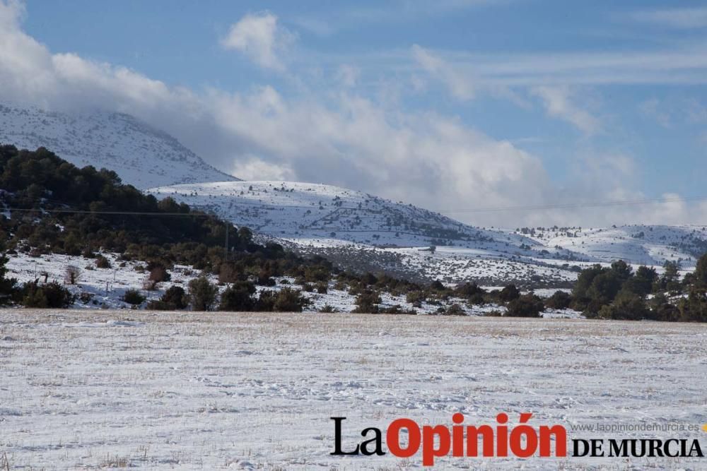 Nieve en el Noroeste