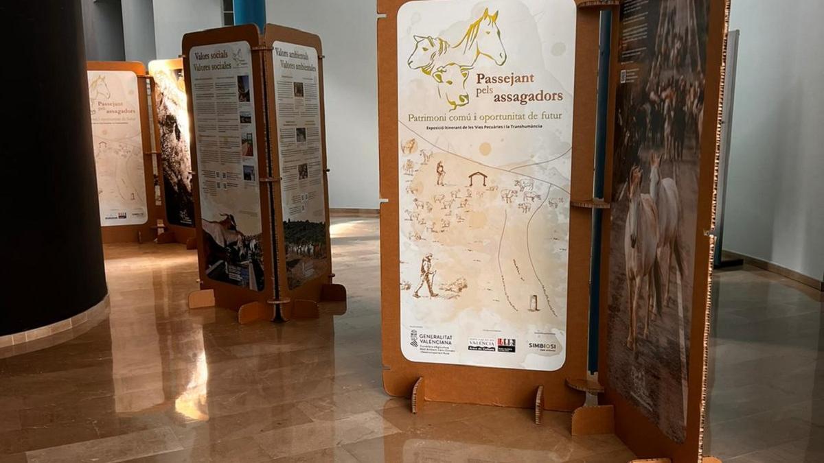 Xàtiva acoge dos exposiciones sobre el medioambiente.