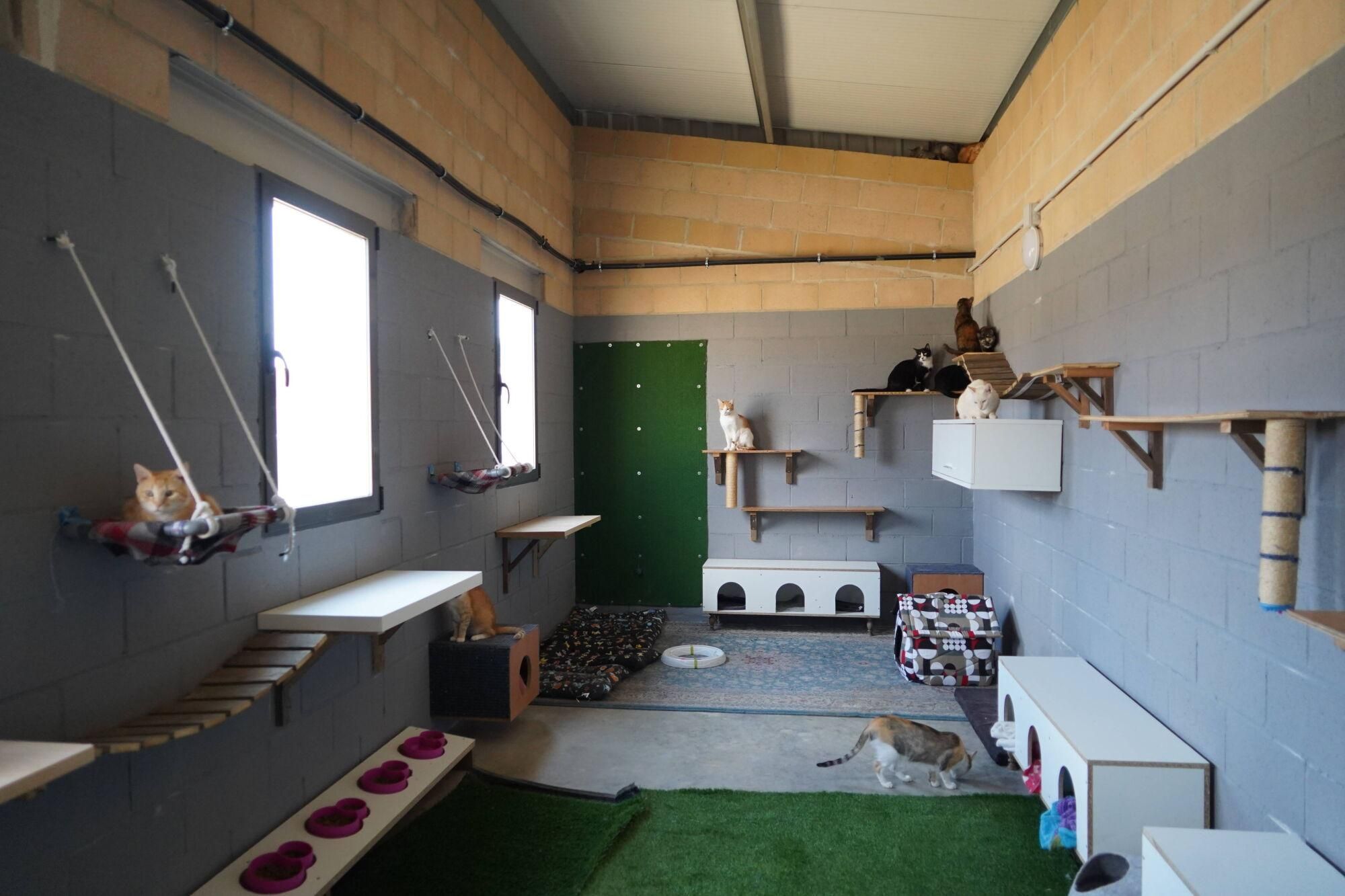 Visita a las instalaciones del nuevo Centro de Protección Animal