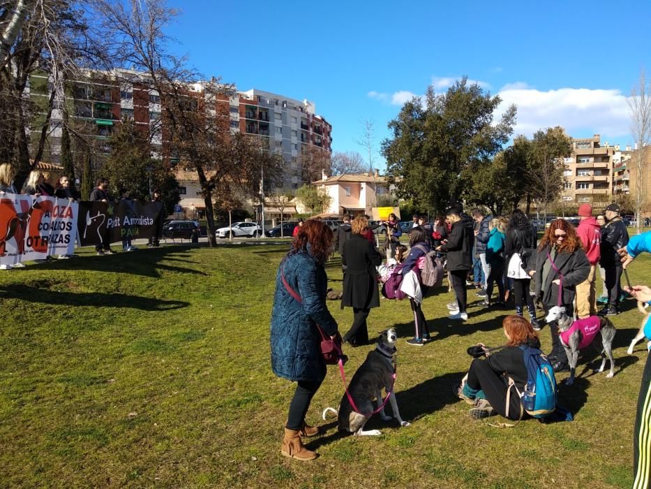 Manifestació contra la caça a Girona