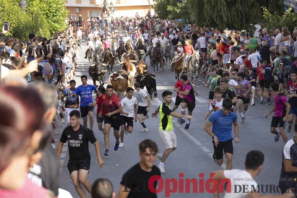 Quinto encierro de las Fiestas de Moratalla