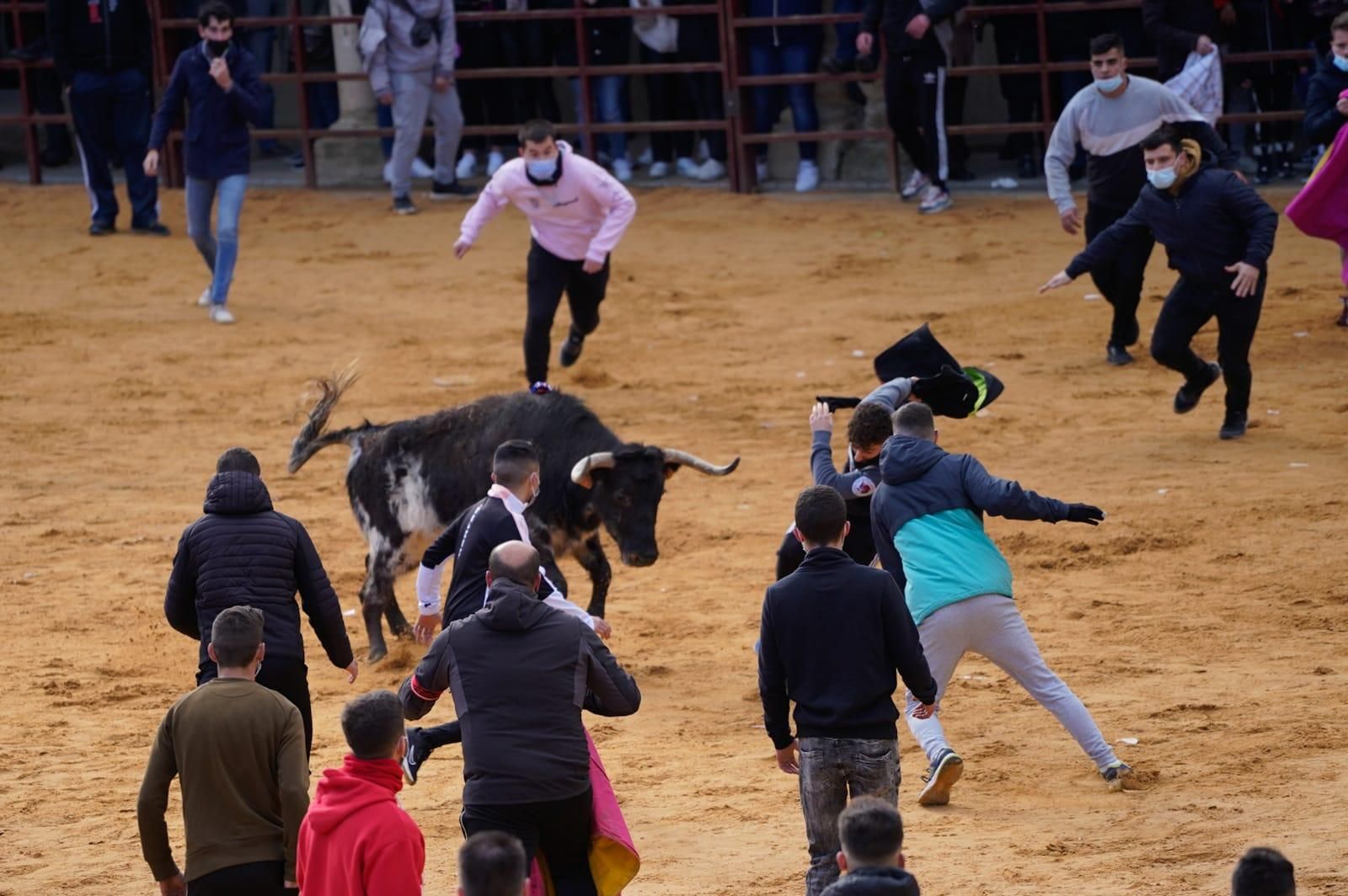 GALERÍA | Vuelve el Toro de la Purísima a Villalpando: así se ha celebrado el festejo taurino