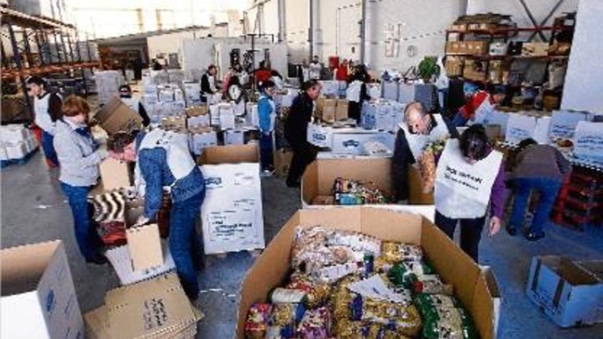 Creu Roja i el Banc d&#039;Aliments repartiran prop de 600 tones entre 36.000 persones