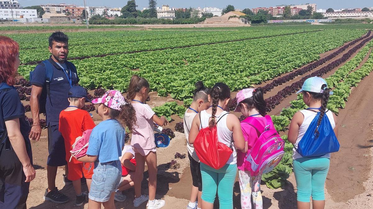 Educación ambiental en Burjassot.