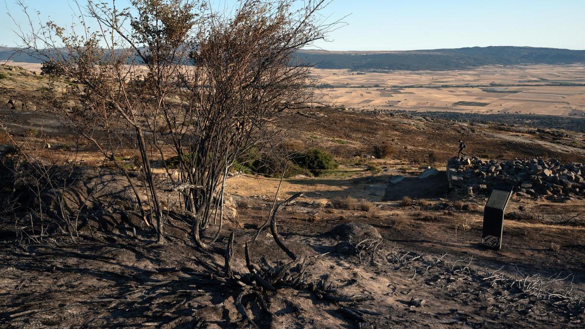 La UME se retira este jueves del incendio de Ávila ante su buena evolución.