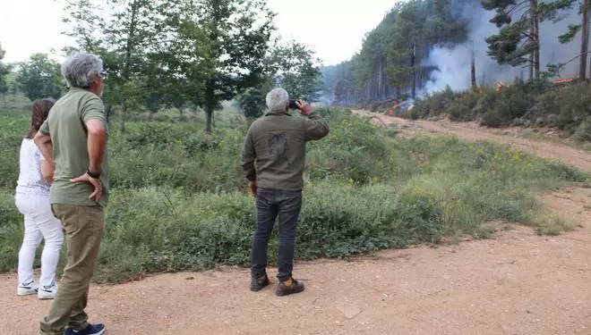 Villanueva de Valrojo reclamará incluir tres montes en el balance de daños por el incendio
