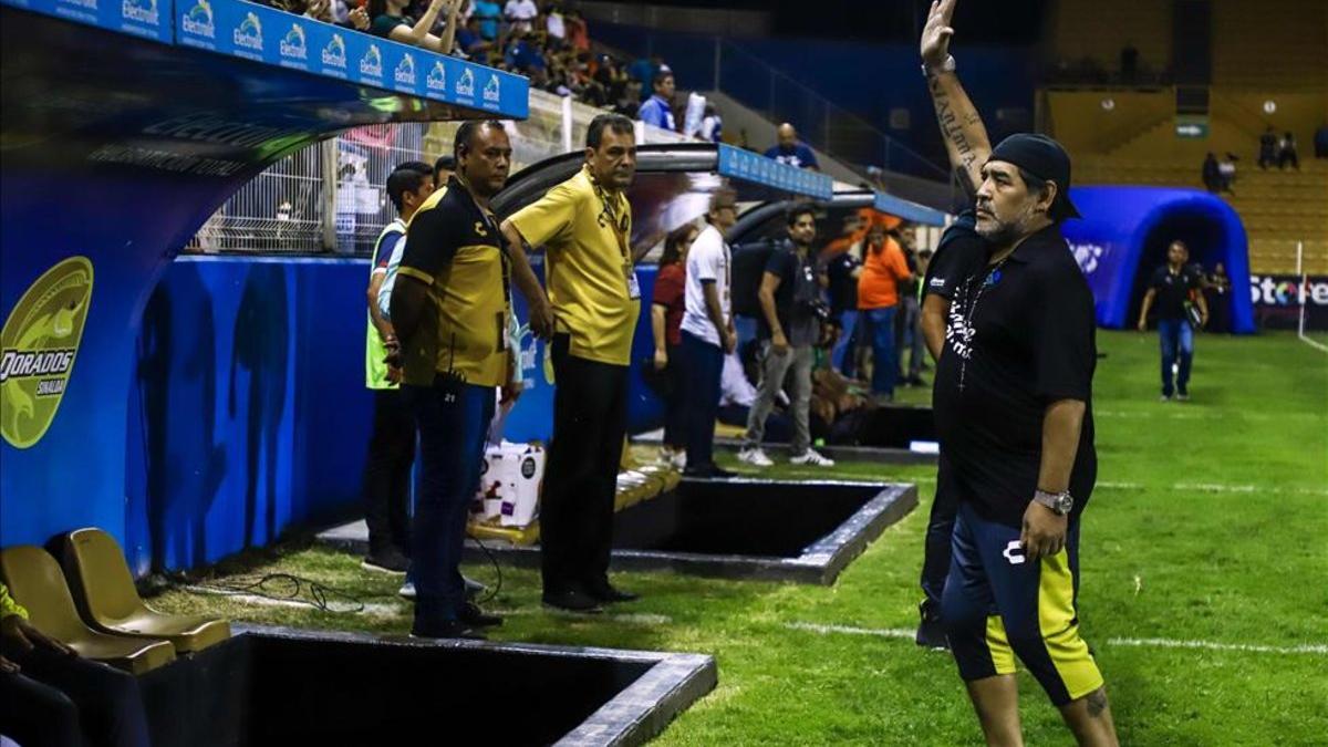 Maradona continuará en Dorados por tercera temporada consecutiva