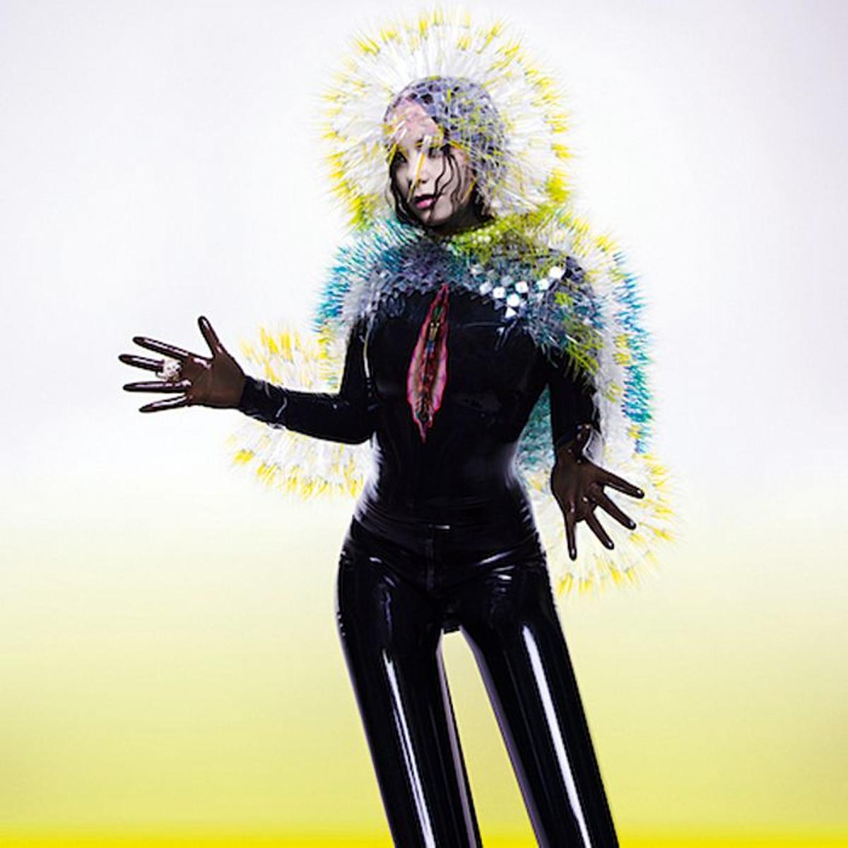 Björk, artista islandesa