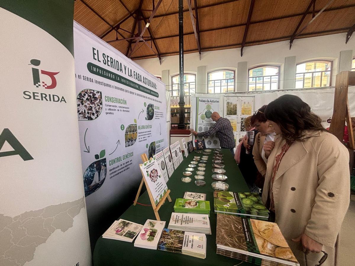 EN IMÁGENES: Pedro Morán y Joaquín Pajarón, protagonistas de les Fabes de Villaviciosa