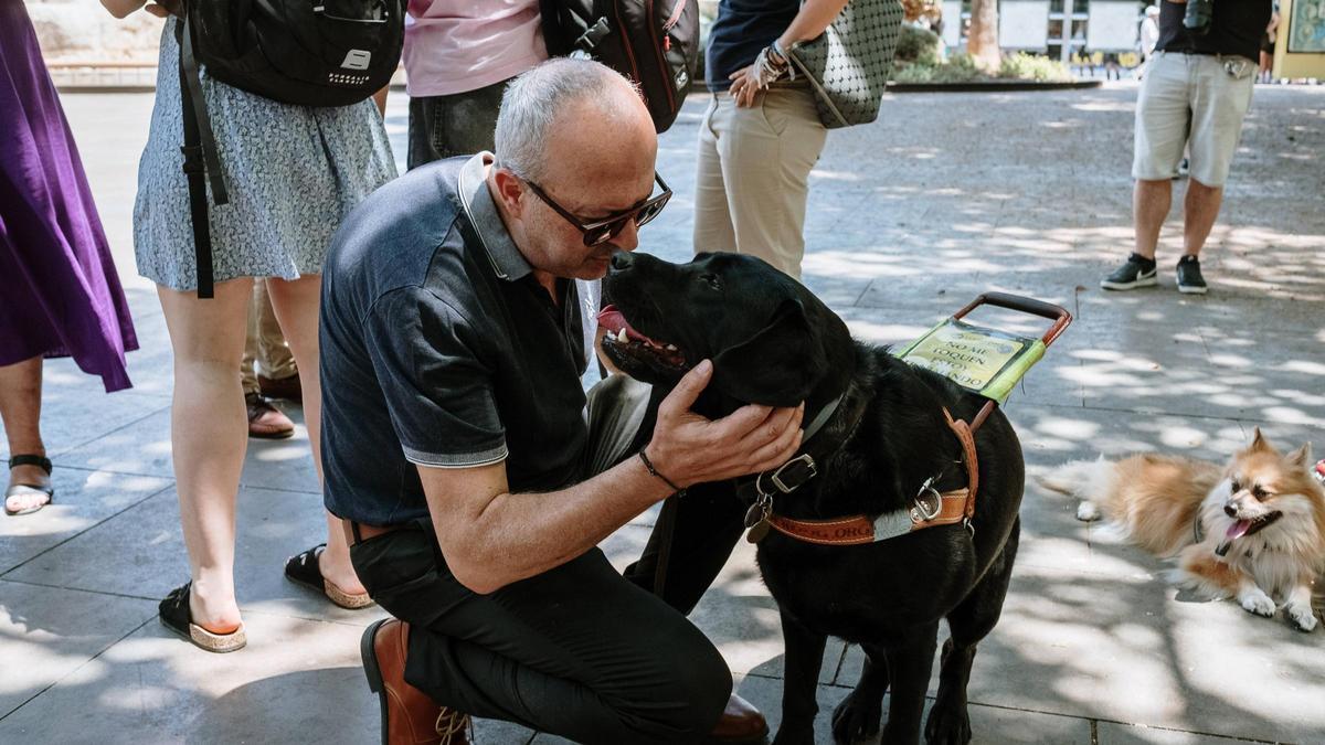 Usuarios de perro guía en Mallorca celebran poder subir con ellos en la ambulancia: "Gracias a él no dependo de nadie más"