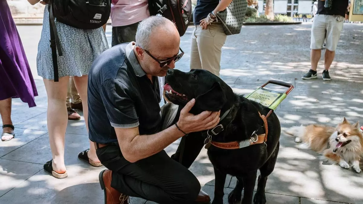 Usuarios de perros guías en Mallorca celebran poder subir con ellos en la ambulancia: "Gracias a él no dependo de nadie más"