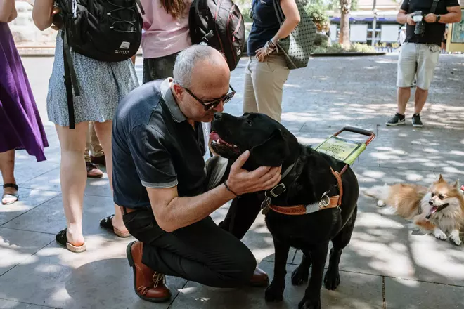 Usuarios de perro guía en Mallorca celebran poder subir con ellos en la ambulancia: "Gracias a él no dependo de nadie más"