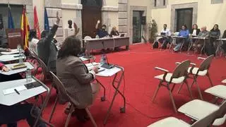 Luz verde al plan de Llanes: "decente y honrado" para el gobierno, "injustificadamente restrictivo" para el PSOE
