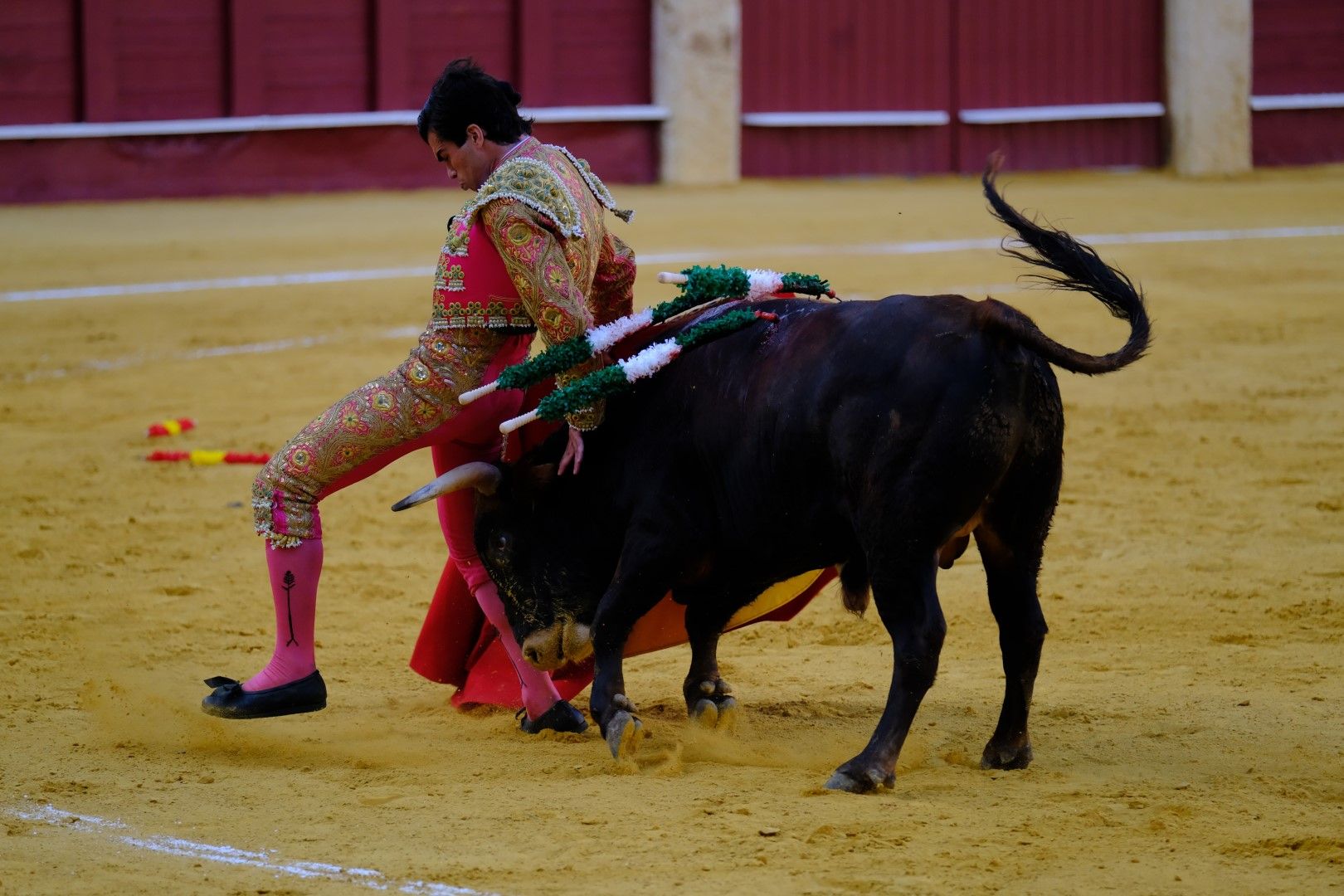 XVI Certamen Internacional de Escuelas Taurinas La Malagueta