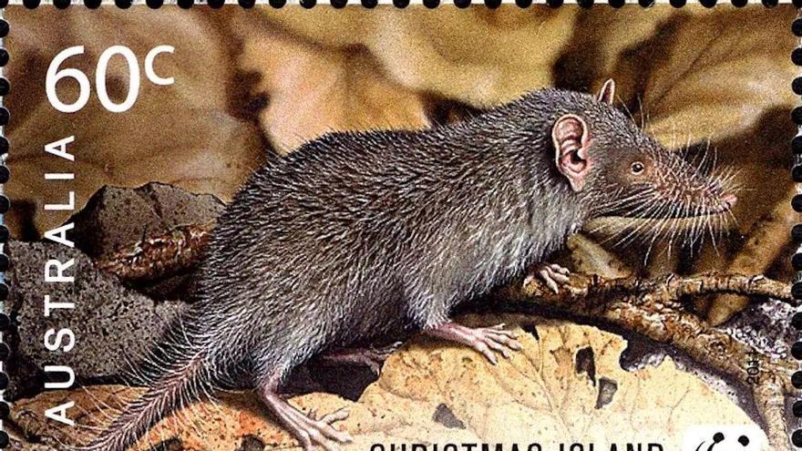 44 especies de animales y plantas desaparecieron para siempre en 2025