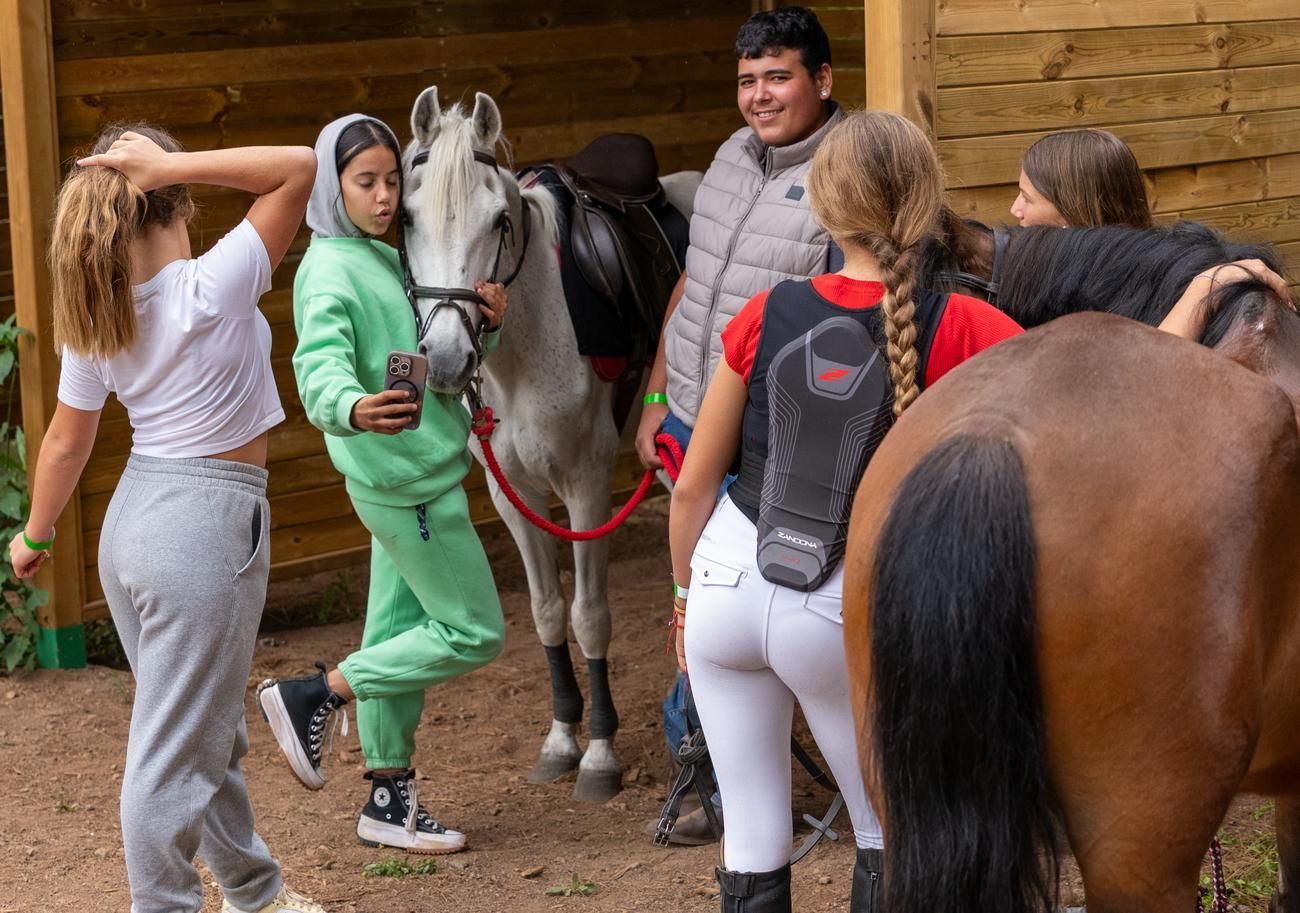 Carrera de caballos III Copa San Vicente Ferrer en Valleseco