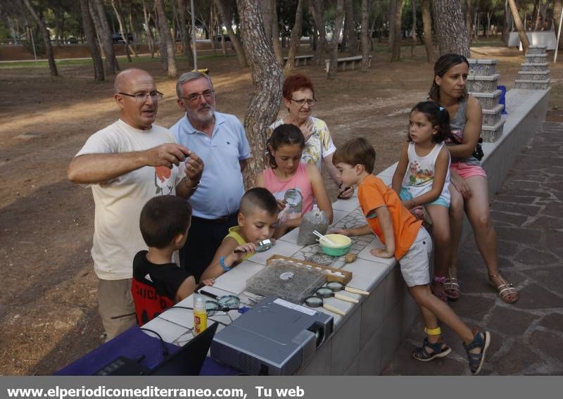 GALERÍA DE FOTOS -- Educación medioambiental en El Termet de Vila-real