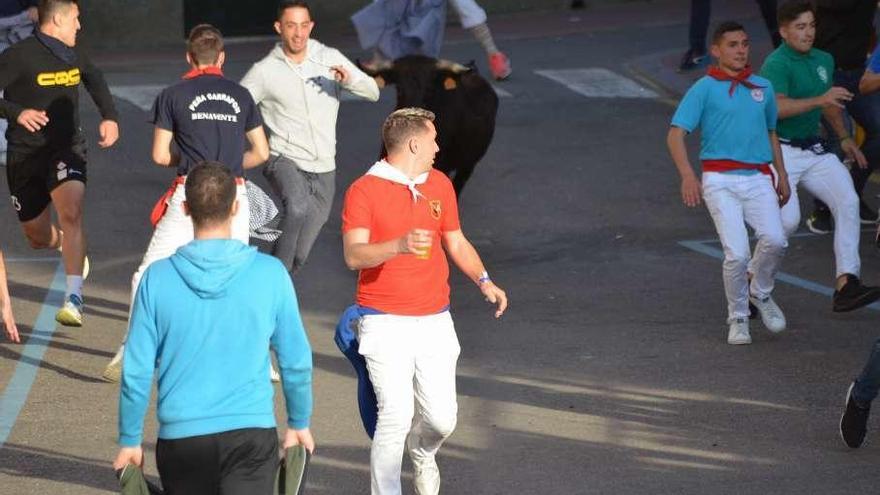 Corredores delante de la Vaca de la Sangría en la llegada al toril viejo.