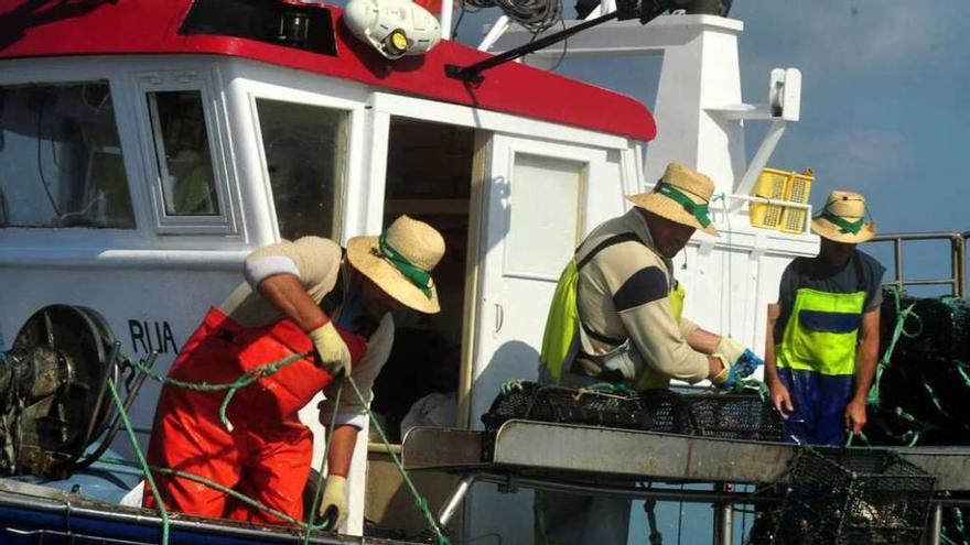 Pesca de pulpo en aguas de la ría de Arousa durante la presente campaña. // Iñaki Abella