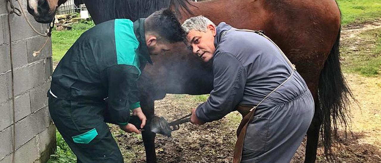 Manuel Avelino Pereiro, a la derecha, herrando un caballo.   | // CEDIDA