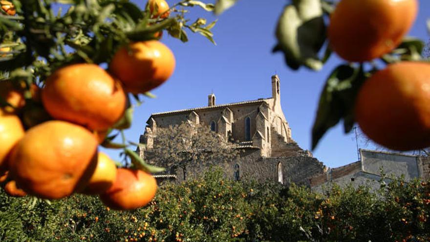 Ermita de Santa Ba?rbara a Borriana