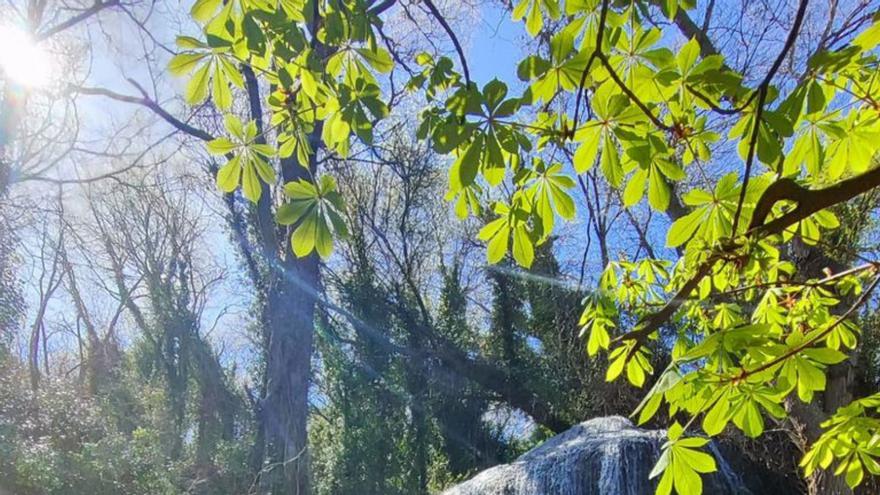 Los alumnos en su visita al Monasterio de Piedra. | SERVICIO ESPECIAL