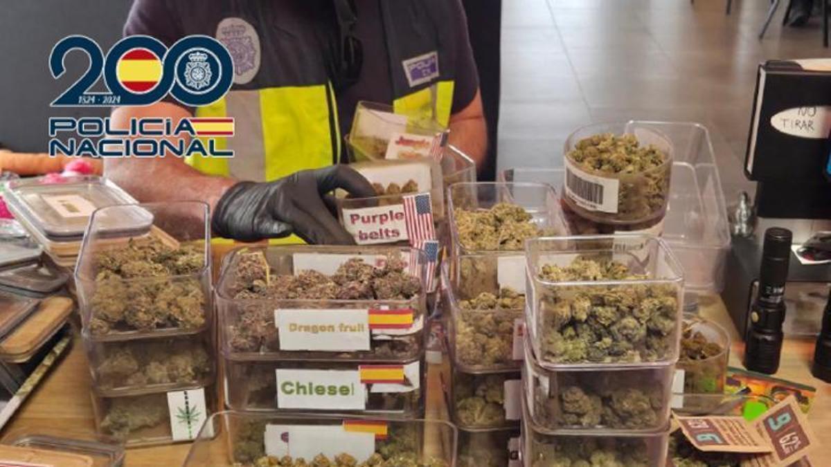 Droga incautada en el club cannábico de Dénia.