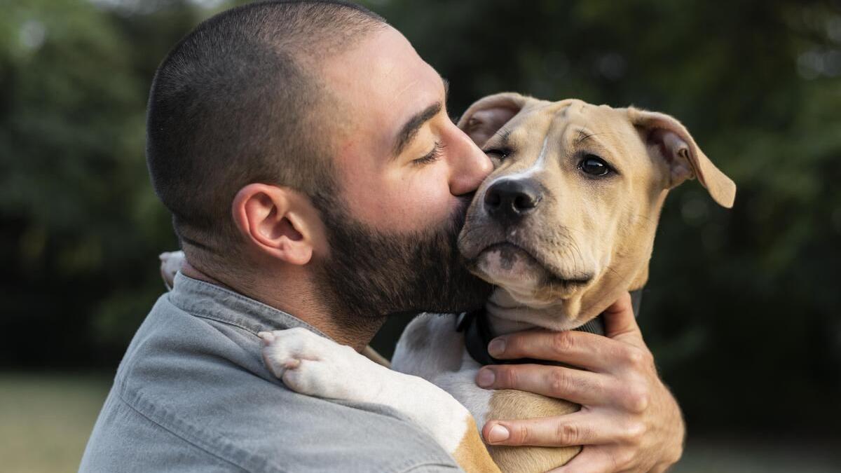 La ciencia ya ha hablado: ¿Puedo contagiar la viruela del mono a mi mascota?