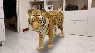 ¿Te imaginas tener un tigre de bengala en tu habitación a golpe de 'click'? Google lo hace posible