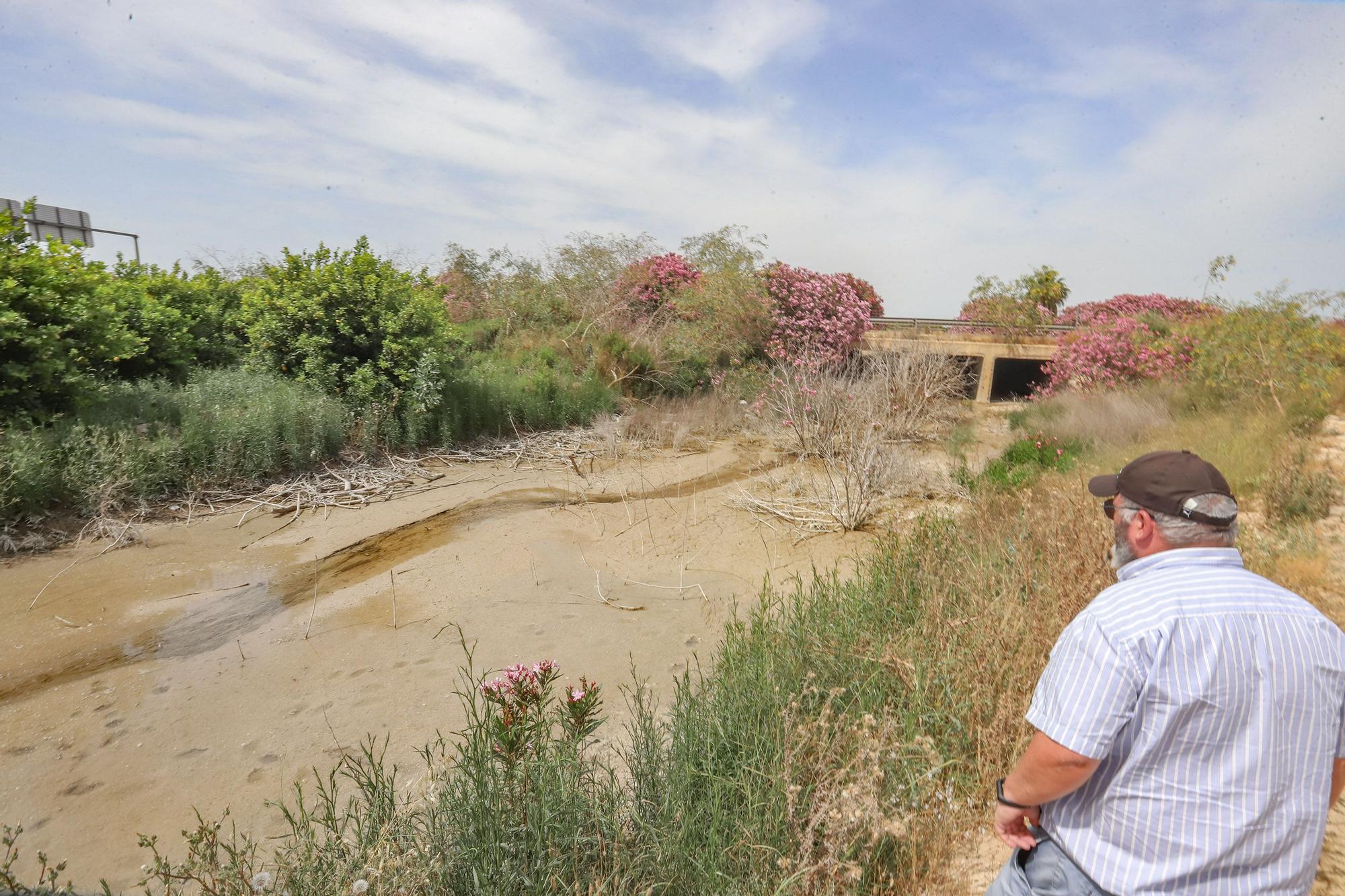 El agua de drenajes agrícolas con fertilizantes del Campo de Salinas desborda las fincas y llega a la laguna de Torrevieja