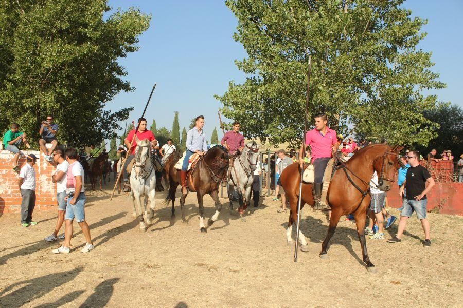 Fiestas en Zamora: Villamor de los Escuderos