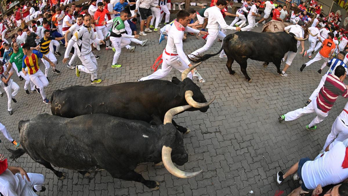 Los legendarios toros de la ganadería de Miura, durante el octavo y último encierro de sanfermines.