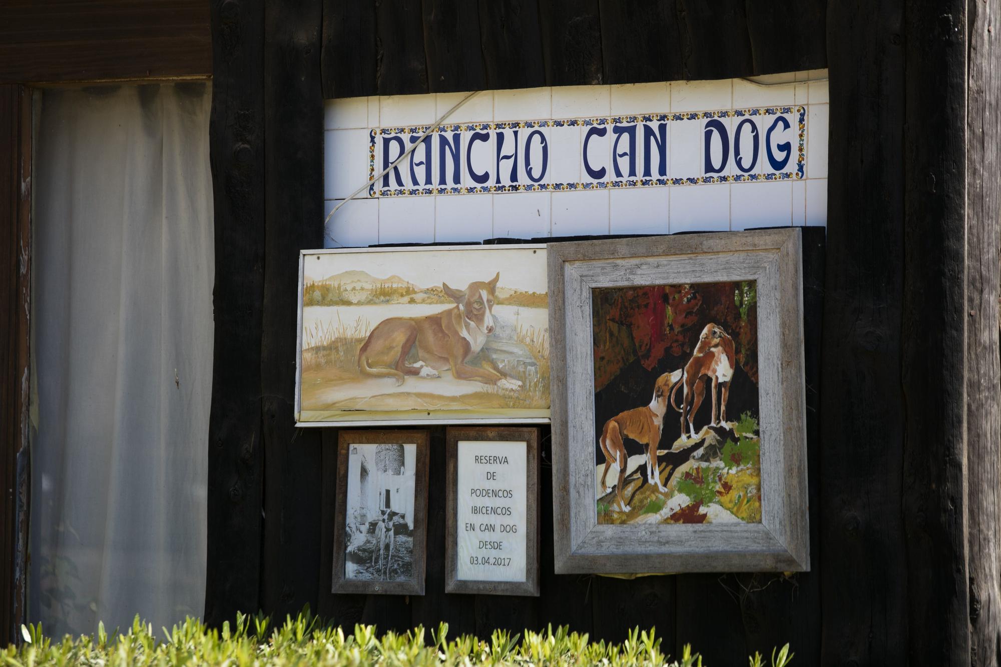 Galería de imágenes de las instalaciones y animales de Can Dog