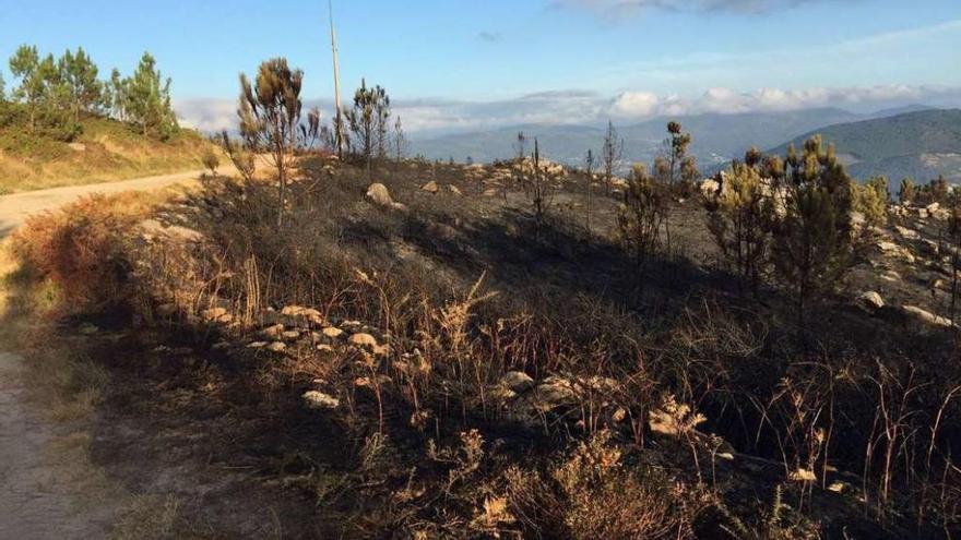 Estado en el que quedó una zona del monte de Montecarrasco, en Domaio, tras el incendio. // S.A.