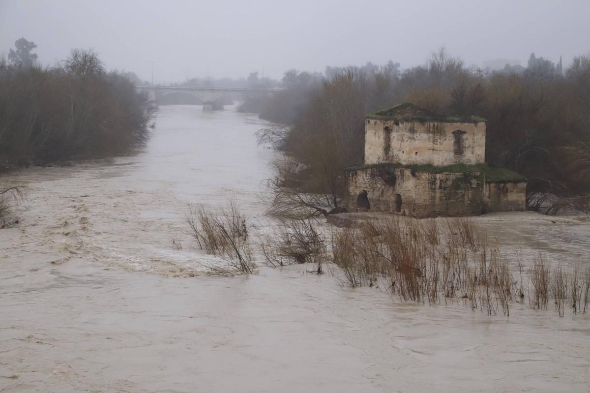 Cauce del Guadalquivir en Córdoba el pasado domingo.