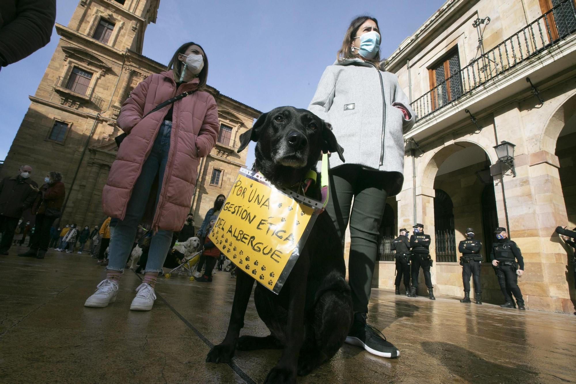 Protesta contra la nueva gestora del albergue de animales de La Bolgachina.