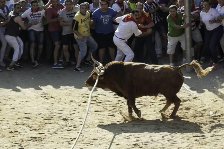 La carrera del Toro Enmaromado 2017 Razonador