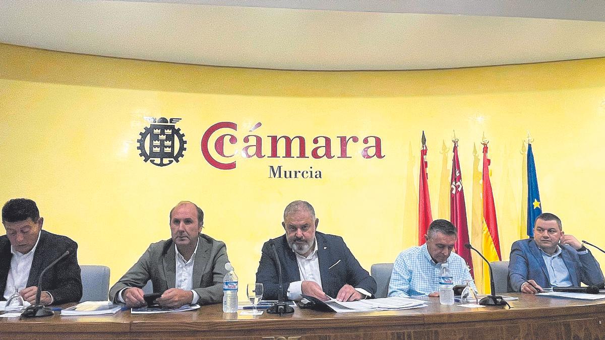 La Cámara de Comercio de Murcia acogía ayer la Asamblea General Ordinaria del Sindicato Central de Regantes del Acueducto Tajo-Segura.